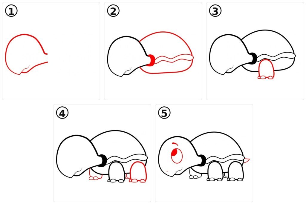 Comment dessiner une tortue étape par étape ?