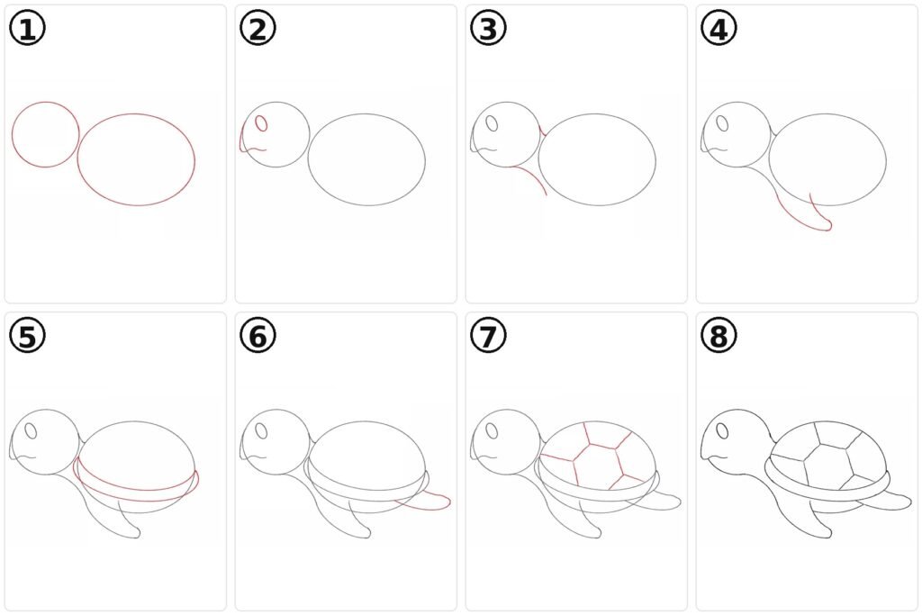 Comment dessiner une tortue de mer ?