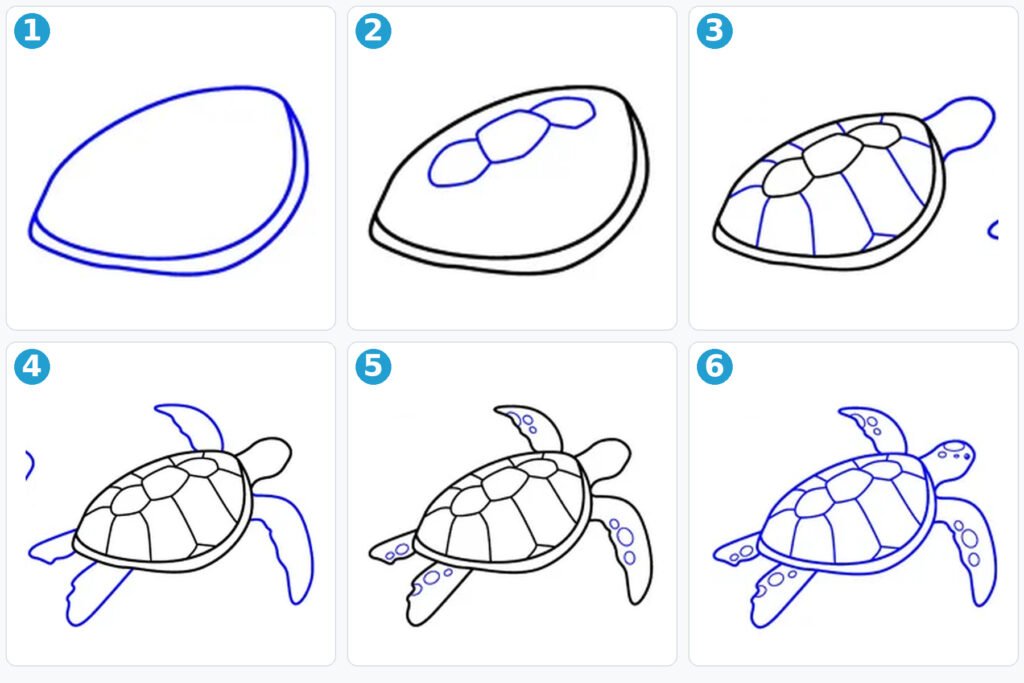 Comment dessiner une tortue de mer ?