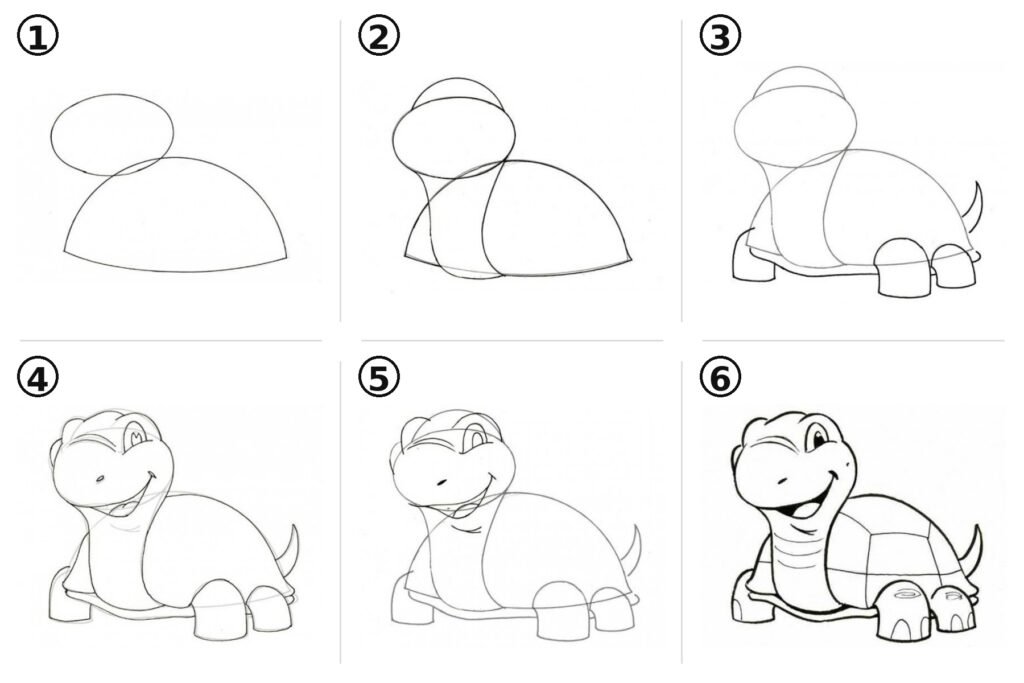 Comment dessiner une tortue étape par étape ?
