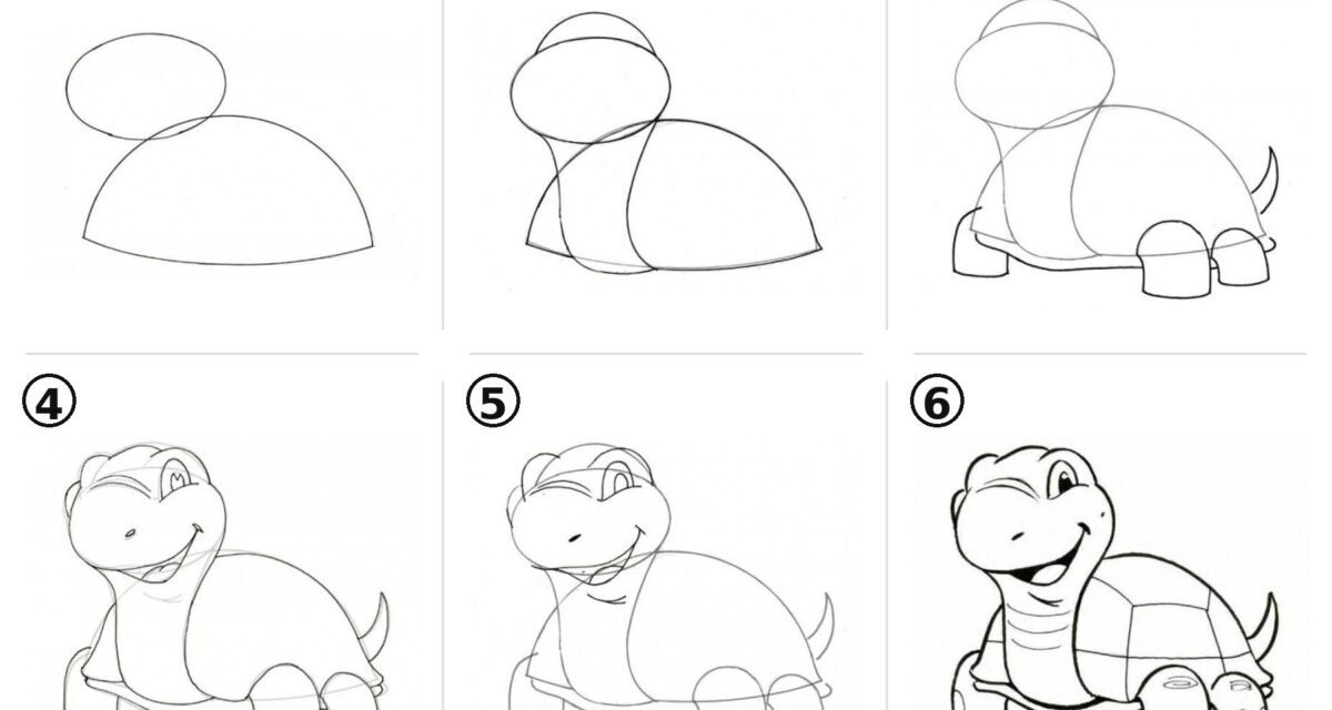Comment dessiner une tortue étape par étape ?