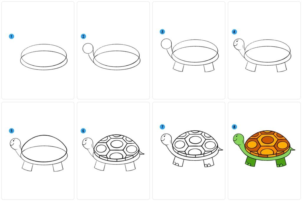 Une tortue terrestre facile à dessiner